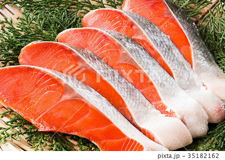紅鮭　塩鮭 35182162