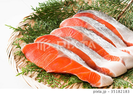 紅鮭　塩鮭 35182183