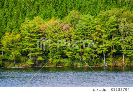 根ノ上高原・保古の湖 根ノ上高原・保古の湖 35182794
