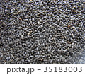 食べ物 食物 フード 35183003