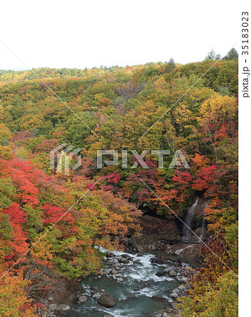紅葉 松川渓谷 森の大橋からの眺め 風景 紅葉 松川渓谷 森の大橋からの眺め 風景 35183023