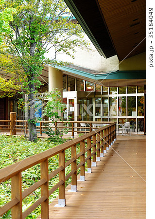 きれいな佇まいの秋の白神山地ビジターセンター きれいな佇まいの秋の白神山地ビジターセンター 35184049