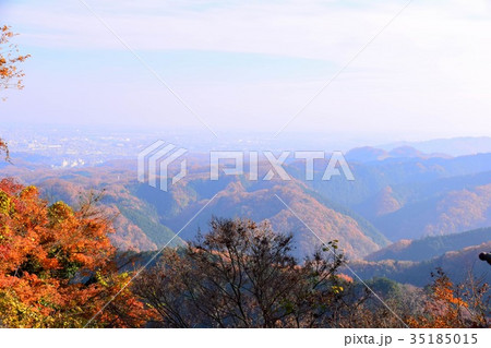 【自然・風景・高尾山】紅葉 35185015