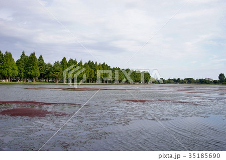 水辺の風景 35185690
