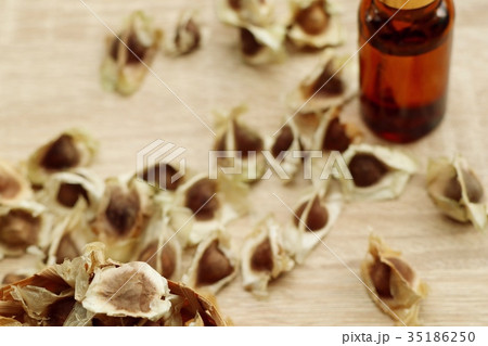 moringa oil moringa oil 35186250