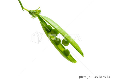 Green fresh peas isolated Green fresh peas isolated 35187513
