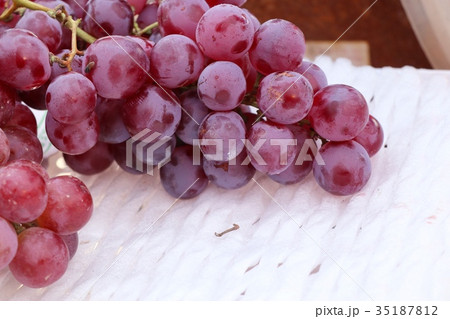 grape grape 35187812