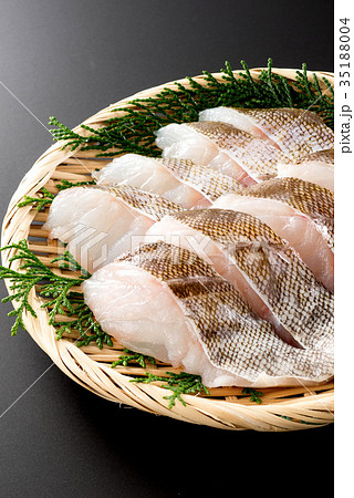 真鱈 35188004