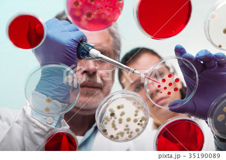 Life scientists researching in the health care 35190089