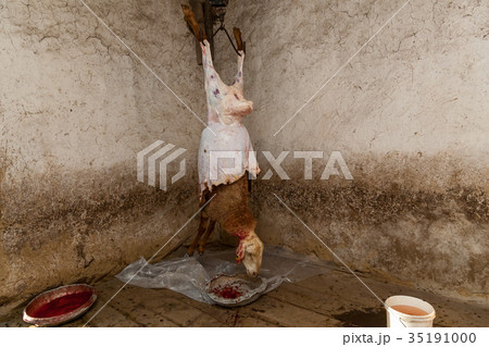 in villages killed a sheep in villages killed a sheep 35191000