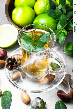 Tea lime mint 35191151