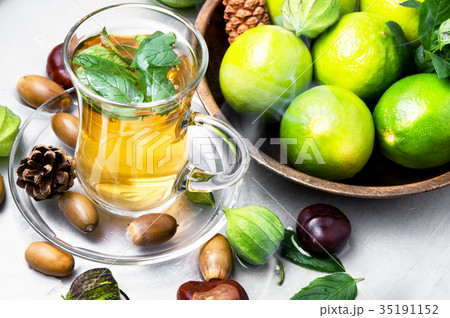 Tea lime mint Tea lime mint 35191152