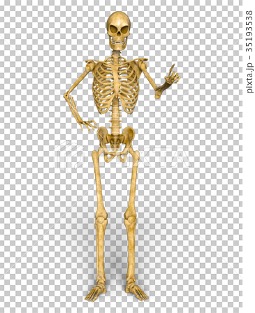 Squealing Squealing 35193538