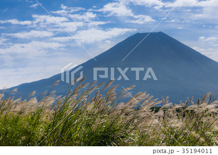 富士山　ススキ　青空 35194011