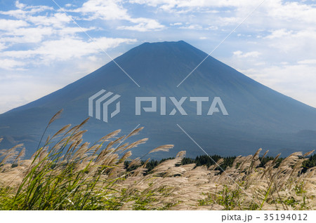 富士山 ススキ 青空 富士山 ススキ 青空 35194012