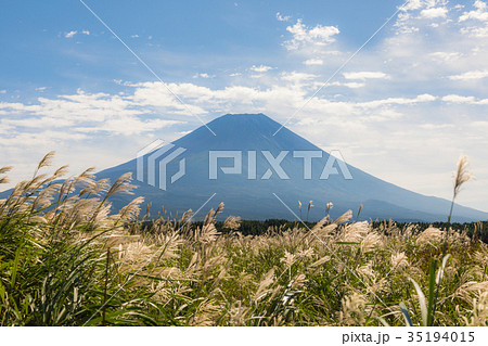富士山 ススキ 青空 富士山 ススキ 青空 35194015