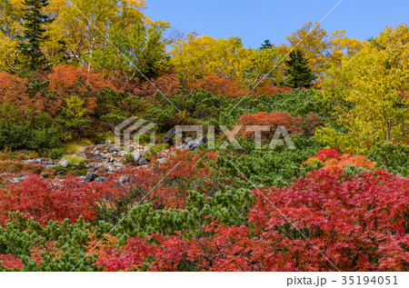 信州の風景 乗鞍岳の紅葉 信州の風景 乗鞍岳の紅葉 35194051