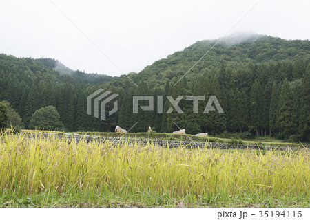 白馬村/青鬼集落の棚田 白馬村/青鬼集落の棚田 35194116