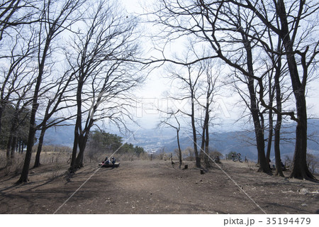 宝登山/山頂から望む秩父市街と秩父連山 宝登山/山頂から望む秩父市街と秩父連山 35194479