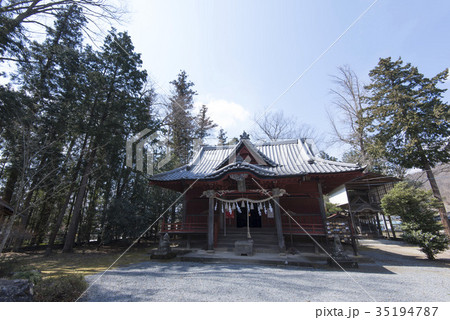 秩父/椋神社（むくじんじゃ） 35194787