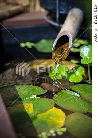 つくばいとビオトープ 35194915