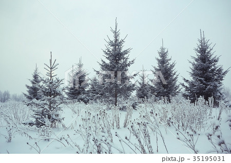Winter landscape in Russia Winter landscape in Russia 35195031