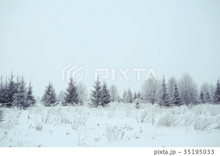 snow in the winter landscape of field on a cloudy day 35195033