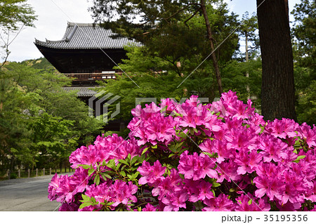 南禅寺 三門と躑躅 南禅寺 三門と躑躅 35195356