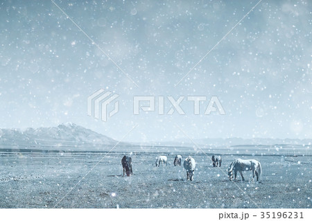 Tibetan landscape travel Tibetan landscape travel 35196231
