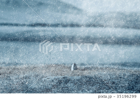 beginning of winter in the mountains 35196299