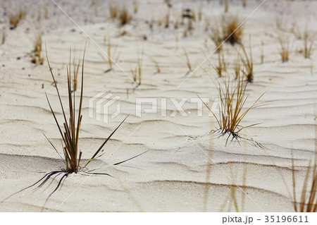 texture desert land sand dunes barkhans, deserts texture desert land sand dunes barkhans, deserts 35196611