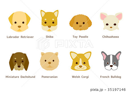 年賀状にも使える 様々な犬種のイラストのイラスト素材 35197146 Pixta