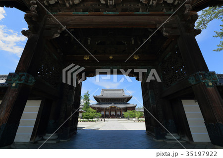 国宝・高田本山専修寺・唐門より国宝如来堂を望む 35197922