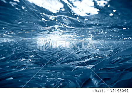 underwater landscape 35198047