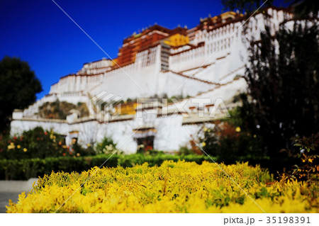 Potala Lhasa Palace 35198391