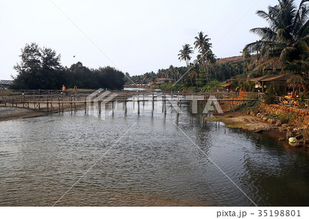 Palms on the shore of water Palms on the shore of water 35198801