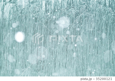 winter field dry gdass snow winter field dry gdass snow 35200121