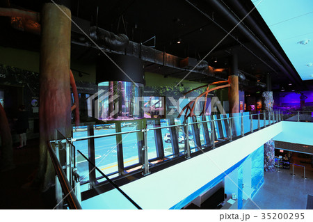ケアンズ水族館の内観 35200295