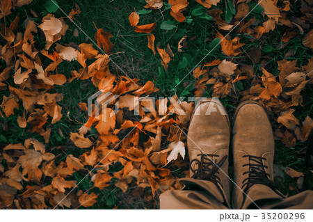 Walking along the path in the leaves 35200296