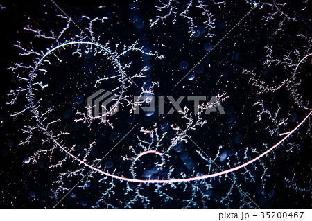 frozen pattern abstract texture background frozen pattern abstract texture background 35200467