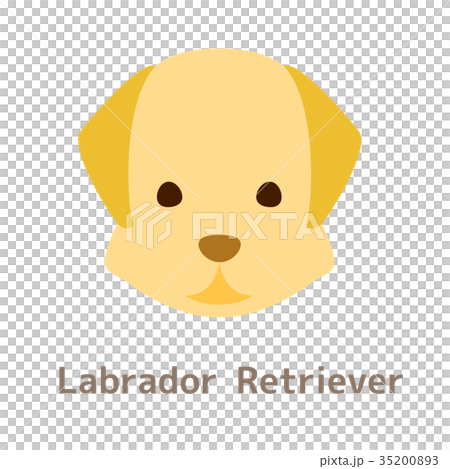 Illustration of labrador retriever 35200893