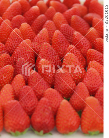 いちご 35201015