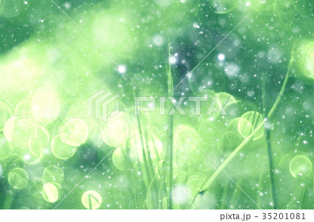 Green background bokeh blurred glare rain Green background bokeh blurred glare rain 35201081