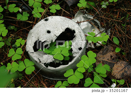 grass tin metal environment pollution grass tin metal environment pollution 35201167