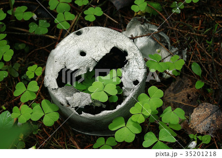 grass tin metal environment pollution grass tin metal environment pollution 35201218