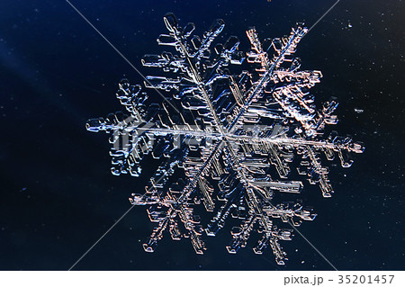 Snowflakes on a blue background 35201457