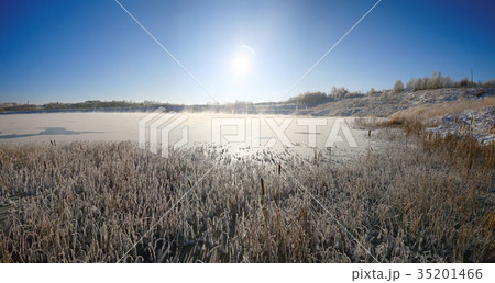 Winter sun over the lake grass Winter sun over the lake grass 35201466