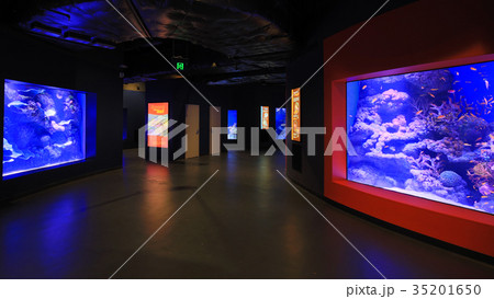 ケアンズ水族館の内観(廊下) ケアンズ水族館の内観(廊下) 35201650