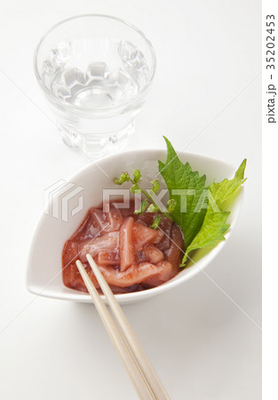 イカ明太　 35202453