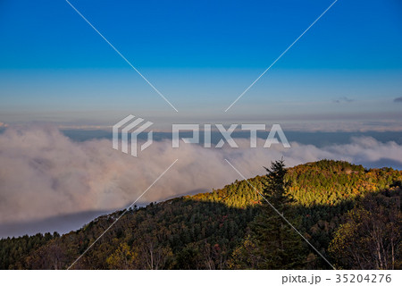 秋の美ヶ原高原 雲海に映ったブロッケン現象 秋の美ヶ原高原 雲海に映ったブロッケン現象 35204276